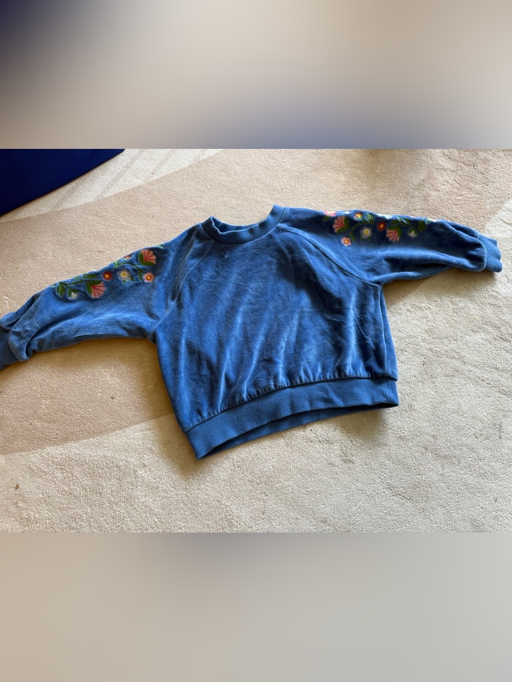 Mini Boden velour embroidery sweatshirt size 3-4t